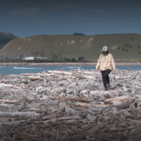 Nouvelle-Zélande, les fermes de carbone en question