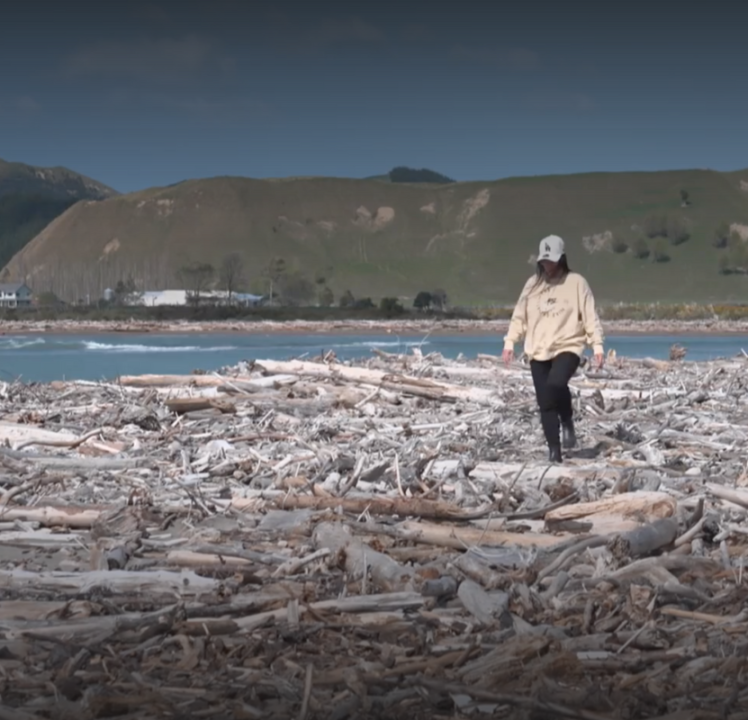 Nouvelle-Zélande, les fermes de carbone en question