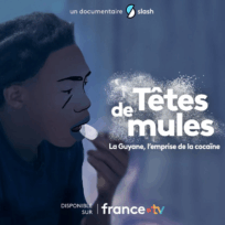 Têtes de mules : La Guyane, l’emprise de la cocaïne