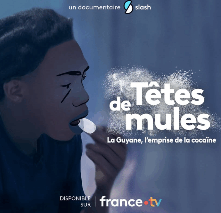 Têtes de mules : La Guyane, l’emprise de la cocaïne