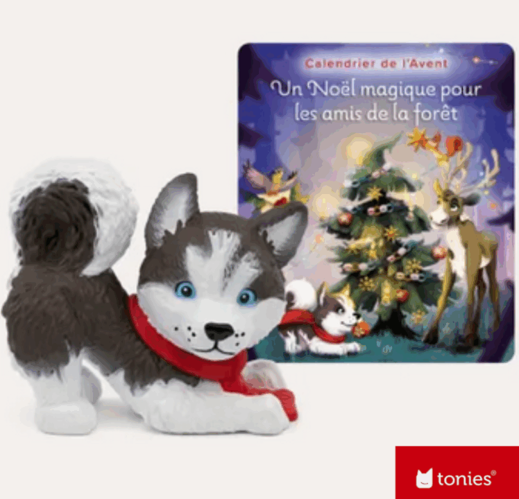 « Un Noël Magique Pour Les Amis De La Forêt »